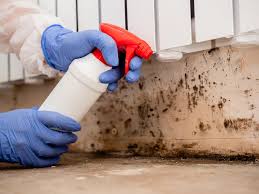 Best Mold Odor Removal Services  in Woodbranch, TX